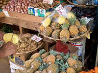 Ananas1.JPG (55430 bytes)