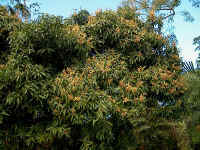 Im000653.jpg (63248 bytes)