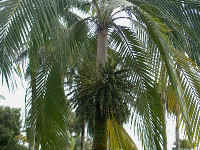 Im000725.jpg (63443 bytes)